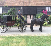 Horse and Carriage Hire in Oxford
